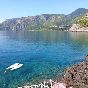 Bed And Breakfast Tenuta Palmieri Only Adult